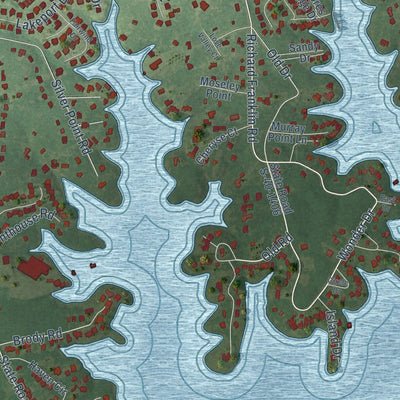 Close-up of the map of Lake Murray of Richland, South Carolina print showing street and building detail