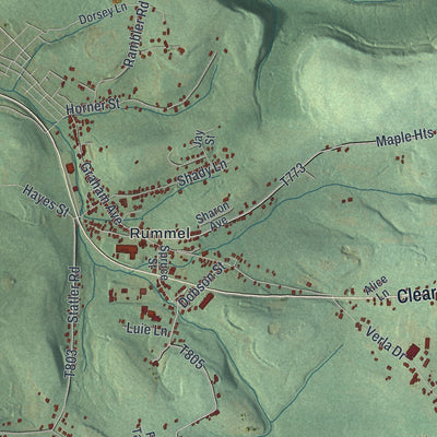 Close-up of the map of Paint, Somerset County, Pennsylvania print showing street and building detail