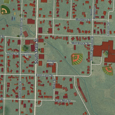 Close-up of the map of Pioneer, Ohio print showing street and building detail