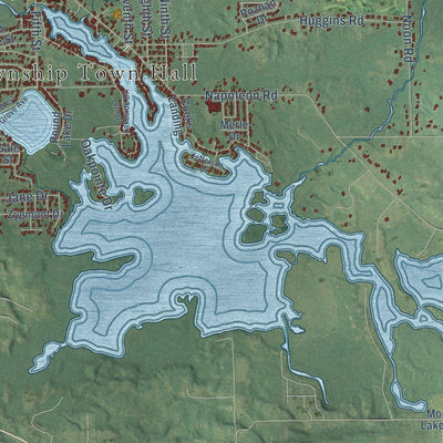 Close-up of the map of Leoni, Michigan print showing street and building detail
