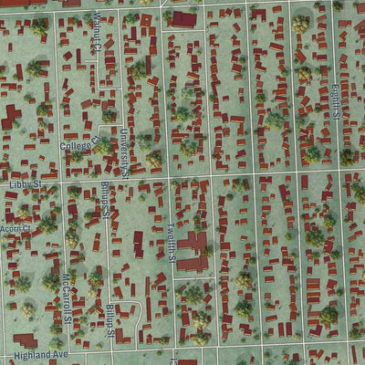 Close-up of the map of Clarkston, Washington print showing street and building detail