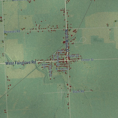 Close-up of the map of Fairgrove, Tuscola County, Michigan print showing street and building detail