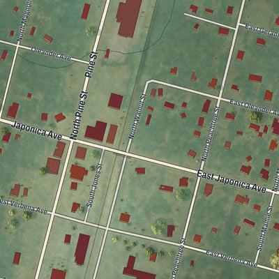 Close-up of the map of Coolidge, Georgia print showing street and building detail