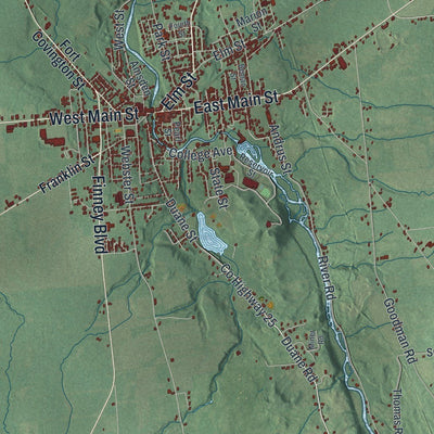 Close-up of the map of the Town of Malone, New York print showing street and building detail