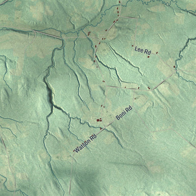 Close-up of the map of Champion, New York print showing street and building detail