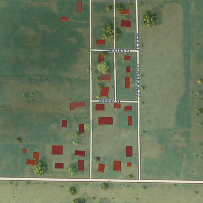 Close-up of the map of Old Ripley, Illinois print showing street and building detail