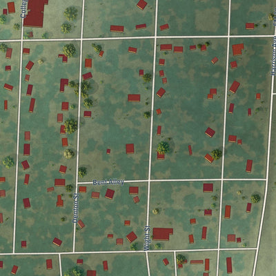 Close-up of the map of Roxton, Texas print showing street and building detail