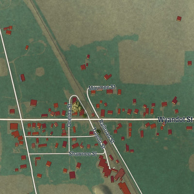 Close-up of the map of Harpster, Ohio print showing street and building detail