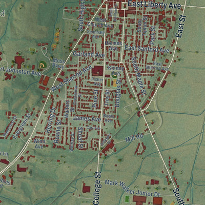 Close-up of the map of Covington, Tennessee print showing street and building detail
