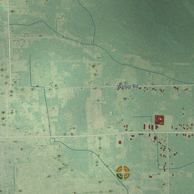 Close-up of the map of Buckeye, Michigan print showing street and building detail