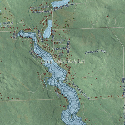 Close-up of the map of Frost, Michigan print showing street and building detail