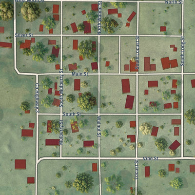 Close-up of the map of Mount Erie, Illinois print showing street and building detail