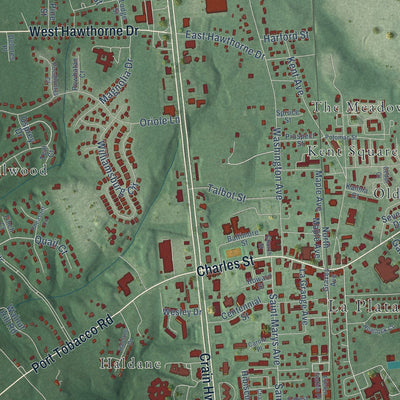 Close-up of the map of La Plata, Maryland print showing street and building detail