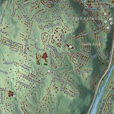 Close-up of the map of Seymour, Connecticut print showing street and building detail
