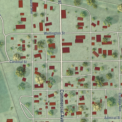 Close-up of the map of Wolsey, South Dakota print showing street and building detail