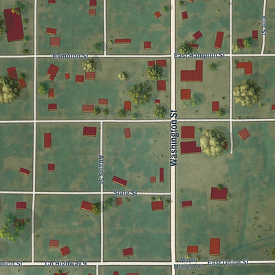 Close-up of the map of Donnellson, Illinois print showing street and building detail