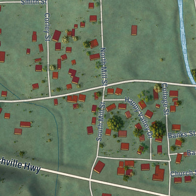 Close-up of the map of Dowelltown, Tennessee print showing street and building detail