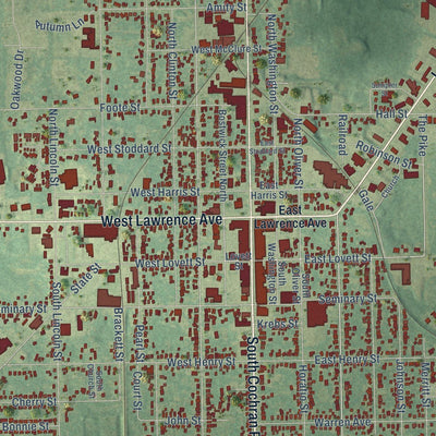 Close-up of the map of Charlotte, Michigan print showing street and building detail