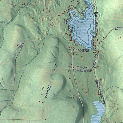 Close-up of the map of Wayland, New York print showing street and building detail