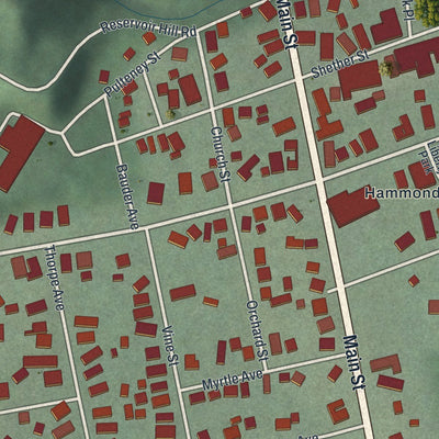 Close-up of the map of Hammondsport, New York print showing street and building detail
