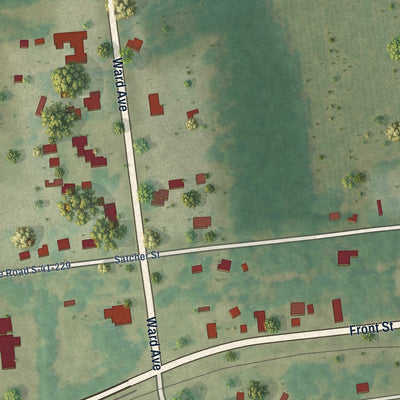 Close-up of the map of Ward, South Carolina print showing street and building detail