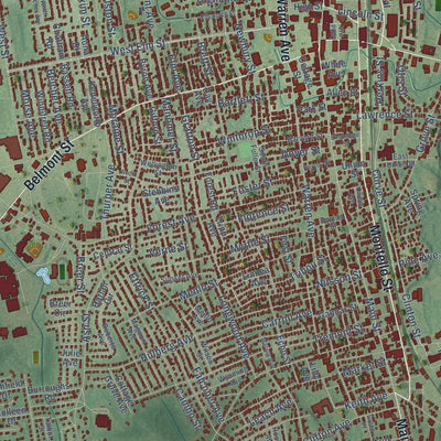Close-up of the map of Brockton, Massachusetts print showing street and building detail