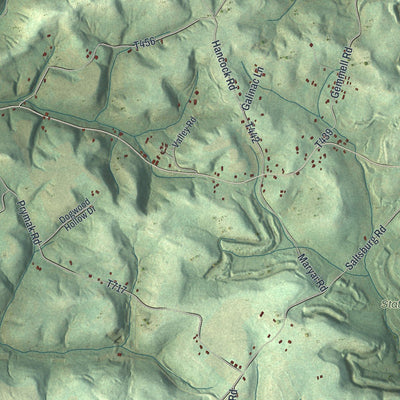 Close-up of the map of Young, Indiana County, Pennsylvania print showing street and building detail