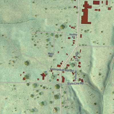 Close-up of the map of Blue Eye, Missouri print showing street and building detail