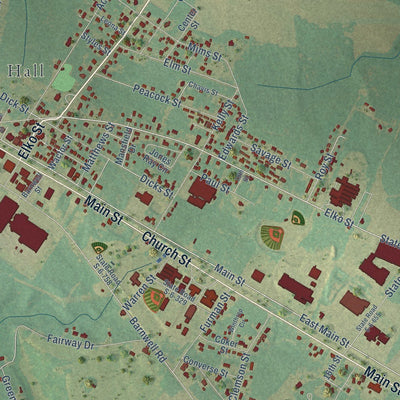 Close-up of the map of Williston, South Carolina print showing street and building detail