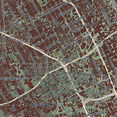 Close-up of the map of Detroit, Michigan print showing street and building detail