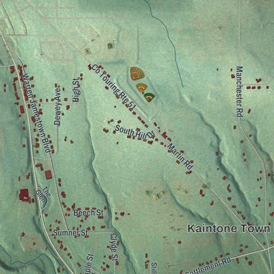 Close-up of the map of Kiantone, New York print showing street and building detail