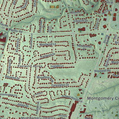 Close-up of the map of Montgomery, Ohio print showing street and building detail