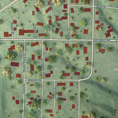 Close-up of the map of Bryant, Illinois print showing street and building detail