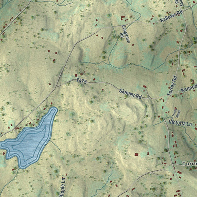 Close-up of the map of Oregon, Pennsylvania print showing street and building detail