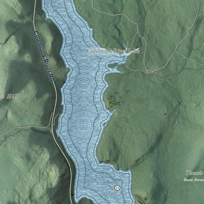 Close-up of the map of Colebrook, Connecticut print showing street and building detail