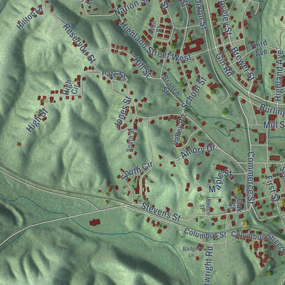 Close-up of the map of Cordova, Alabama print showing street and building detail