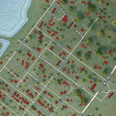 Close-up of the map of Spring Bay, Illinois print showing street and building detail