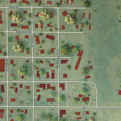 Close-up of the map of Rewey, Wisconsin print showing street and building detail
