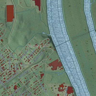 Close-up of the map of Bridgeport, Alabama print showing street and building detail