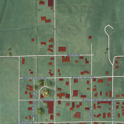 Close-up of the map of Chrisney, Indiana print showing street and building detail