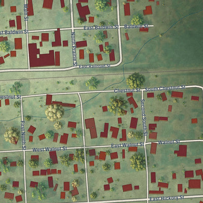 Close-up of the map of Apple River, Illinois print showing street and building detail