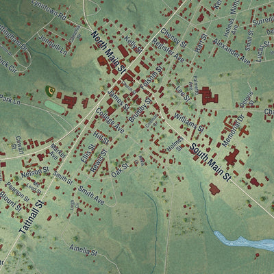 Close-up of the map of Reidsville, Georgia print showing street and building detail