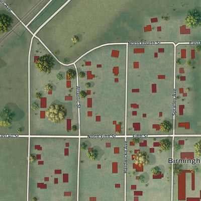 Close-up of the map of Birmingham, Missouri print showing street and building detail