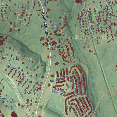 Close-up of the map of Pendleton, South Carolina print showing street and building detail