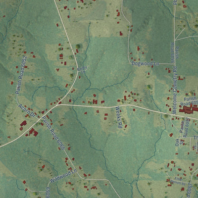 Close-up of the map of Simpson, Louisiana print showing street and building detail