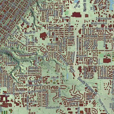 Close-up of the map of Mankato, Minnesota print showing street and building detail