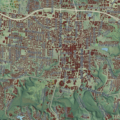 Close-up of the map of Columbia, Missouri print showing street and building detail