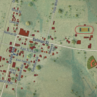 Close-up of the map of Greensboro, Florida print showing street and building detail