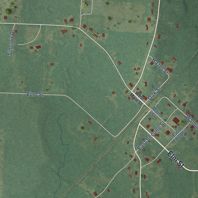 Close-up of the map of Traskwood, Arkansas print showing street and building detail