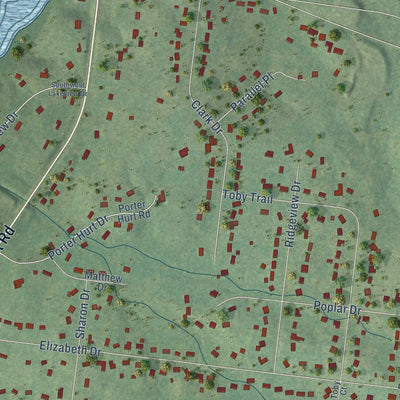 Close-up of the map of Rural Hill, Tennessee print showing street and building detail